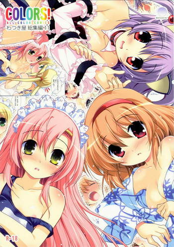 COLORS! わつき屋 総集編11の表紙画像