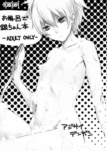 お風呂で銀ちゃん本の表紙画像