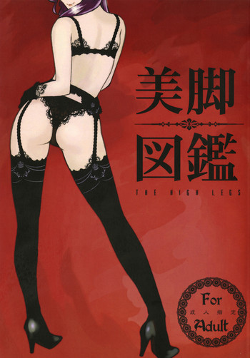 美脚図鑑の表紙画像