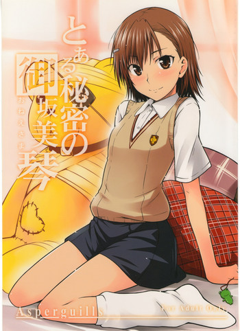とある秘密の御坂美琴の表紙画像