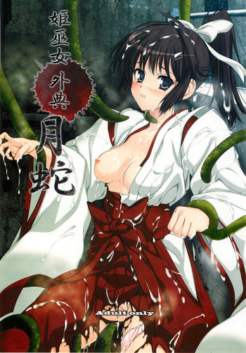 姫巫女外典 月蛇の表紙画像