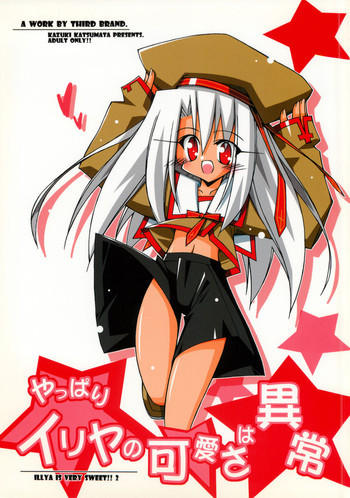 やっぱりイリヤの可愛さは異常の表紙画像