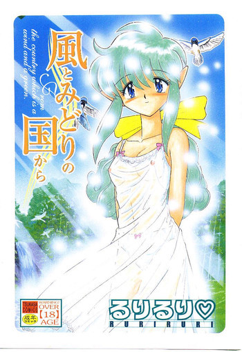 風とみどりの国からの表紙画像