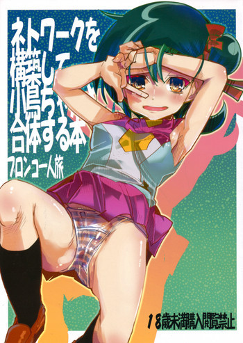 ネットワークを構築して小鳥ちゃんと合体する本の表紙画像