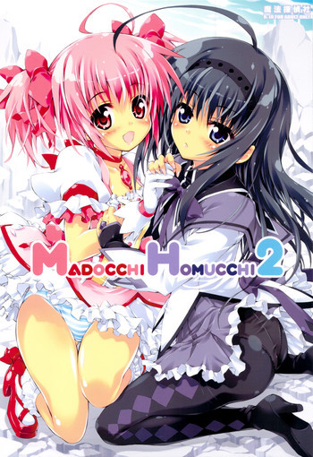 MADOCCHI HOMUCCHI 2の表紙画像