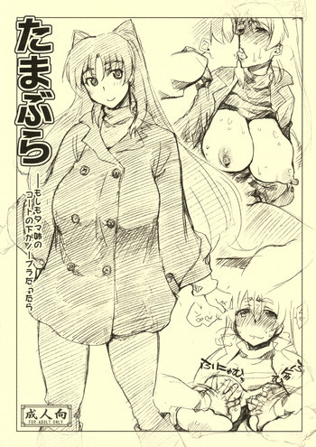 たまぶらの表紙画像