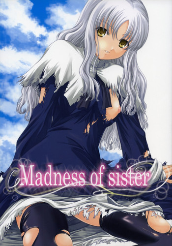 Madness of sisterの表紙画像
