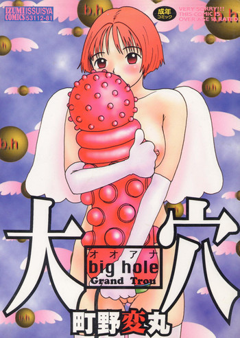 大穴の表紙画像