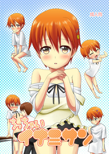 ちっちゃいイナミサンの表紙画像