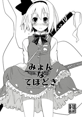 みょんなてほどきの表紙画像
