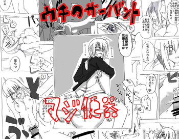 ウチのサーバントマジ便器の表紙画像