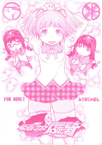 仮面少女ほむ騎の表紙画像