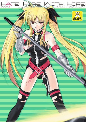 FATE FIRE WITH FIREの表紙画像