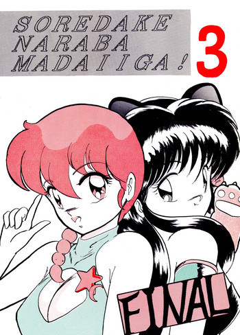 それだけならば、まだいいが VOL3の表紙画像