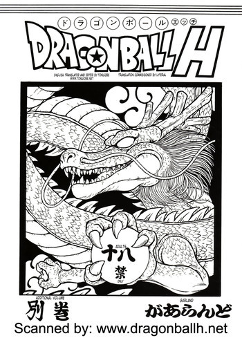 ドラゴンボールH 別巻の表紙画像