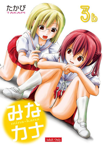 みなカナ3bの表紙画像
