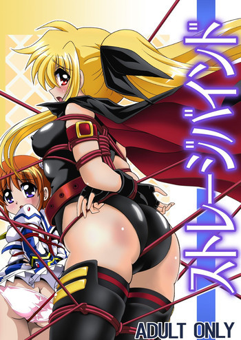 ストレージバインドの表紙画像