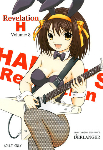 Revelation H Volume:3の表紙画像