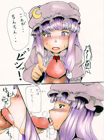 パチュリーおしゃぶりの表紙画像