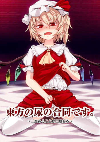 東方の尿の合同です。～二度あることは三度ある～の表紙画像