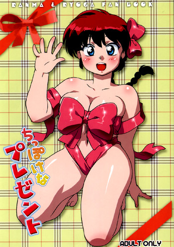ちっぽけなプレゼントの表紙画像