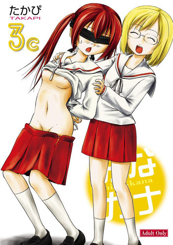 みなカナ3cの表紙画像