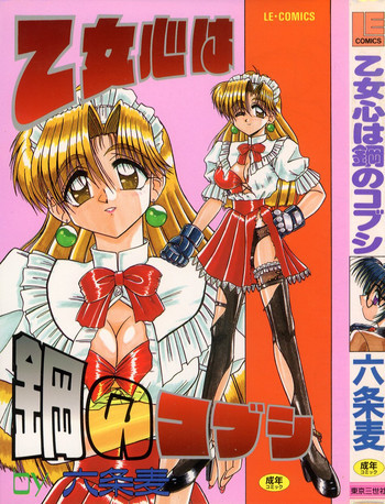 乙女心は鋼のコブシの表紙画像