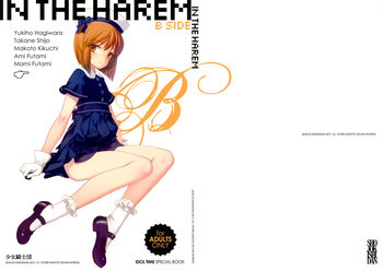 IN THE HAREM B SIDEの表紙画像
