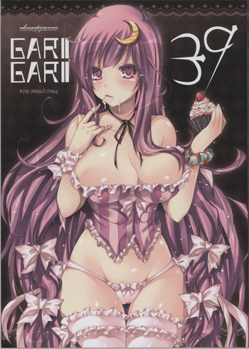GARIGARI39の表紙画像