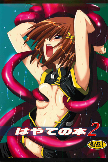 はやての本 2の表紙画像