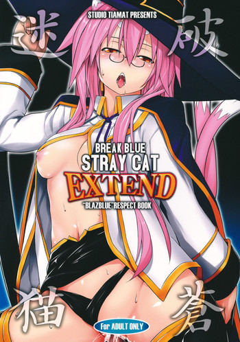 BREAK BLUE STRAY CAT EXTENDの表紙画像