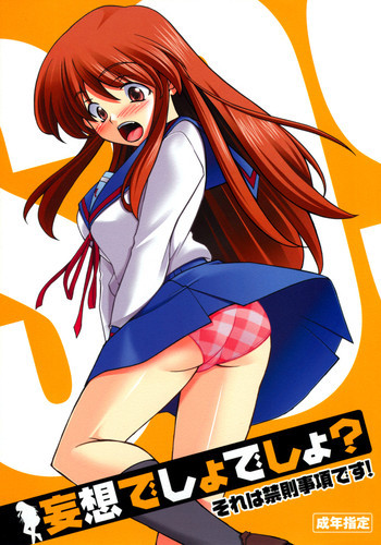 妄想でしょでしょ?「それは禁則事項です!」の表紙画像