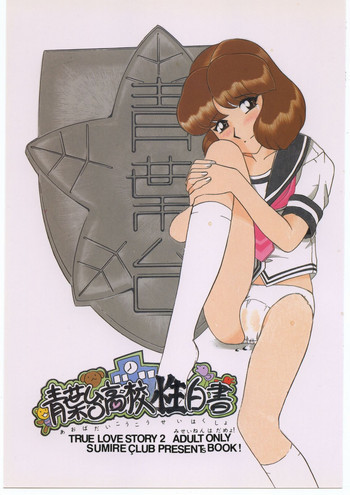 青葉台高校性白書の表紙画像