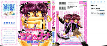 プリティーエンジェル ココ&ナナの表紙画像