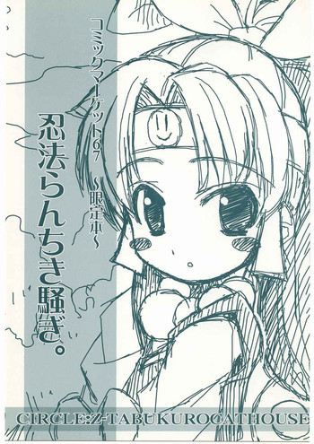 忍法らんちき騒ぎ!の表紙画像
