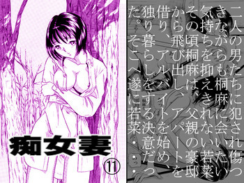 痴女妻11の表紙画像