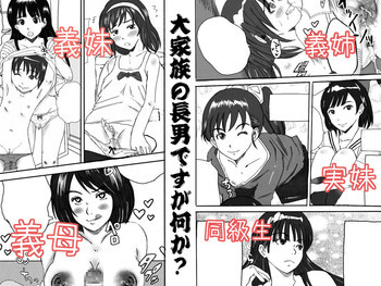 大家族の長男ですが何か？の表紙画像