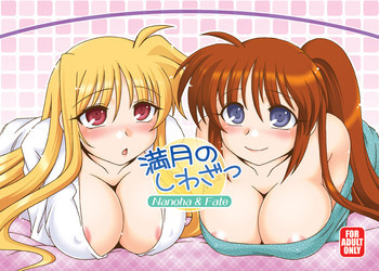 満月のしわざっの表紙画像