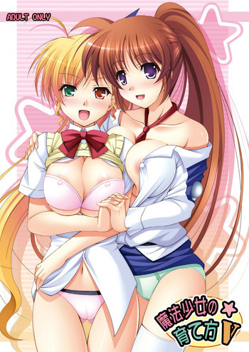 魔法少女の育て方Vの表紙画像