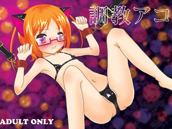 調教アコの表紙画像