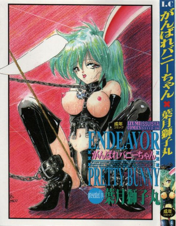 がんばれバニーちゃんの表紙画像