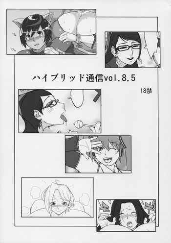 ハイブリッド通信 vol.8.5の表紙画像