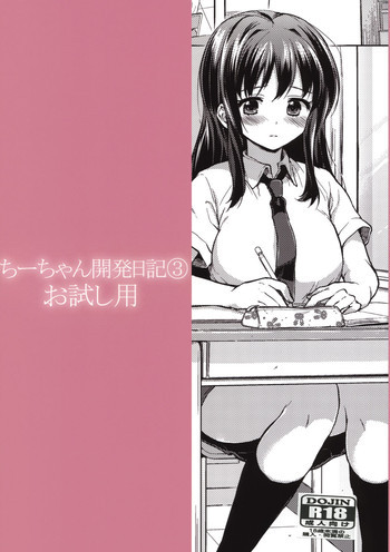 ちーちゃん開発日記3 お試し用の表紙画像
