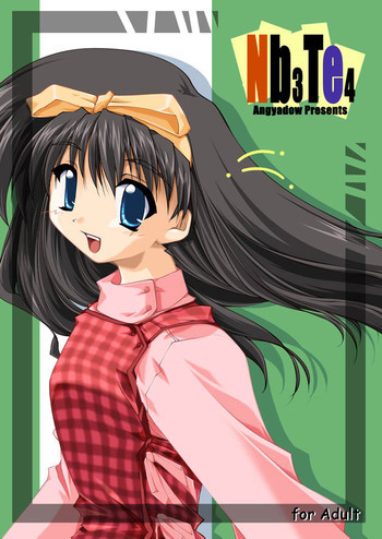 Nb3te4の表紙画像