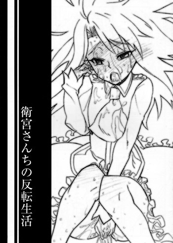 衛宮さんちの反転生活の表紙画像
