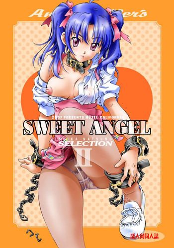 SWEET ANGEL SELECTION 2 [DL版]の表紙画像