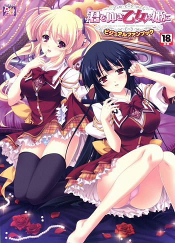 君を仰ぎ乙女は姫にビジュアルファンブックの表紙画像