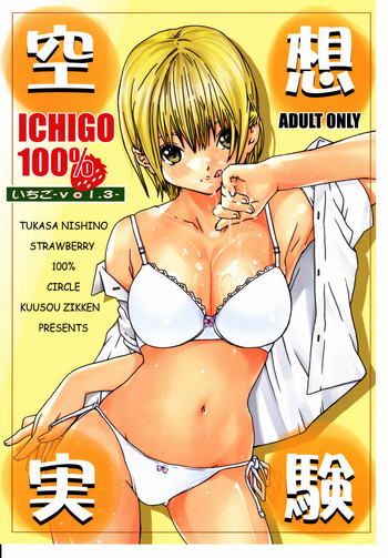 空想実験いちご VOL.3の表紙画像