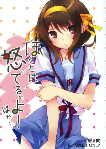 ほんとは怒ってるのよ! ばか...の表紙画像