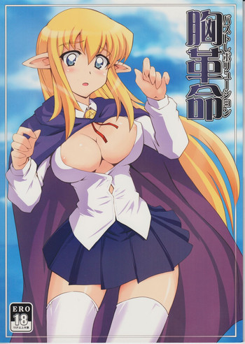 胸革命 バストレボリューションの表紙画像